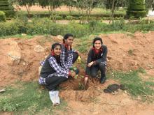 Tree Plantation in KVW Campus on 28-09-2019